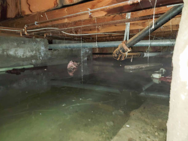 Residential Water Damage Restoration